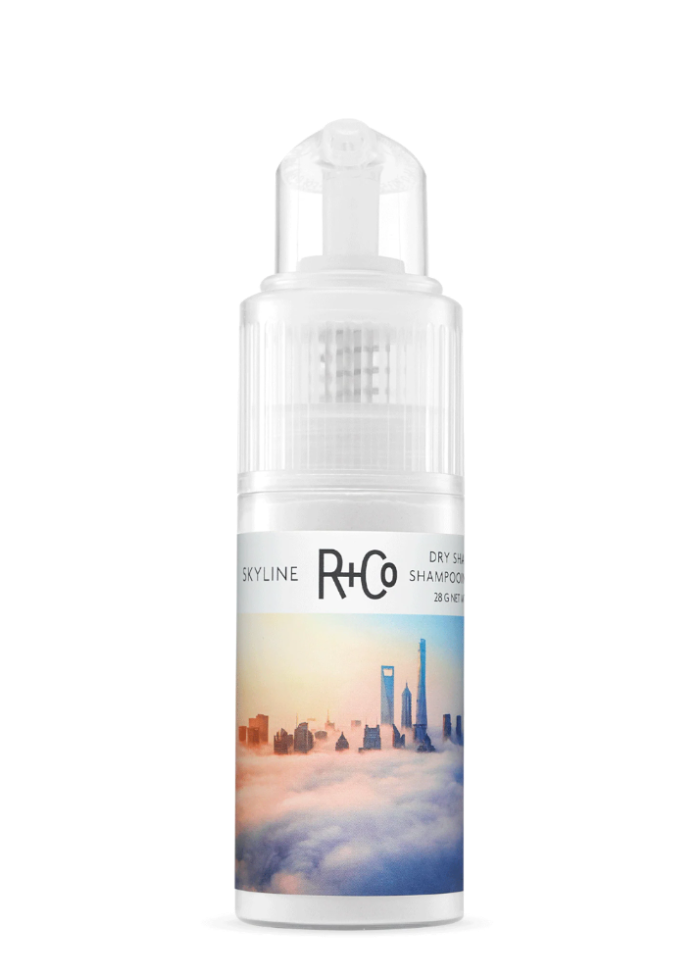 R+Co Skyline