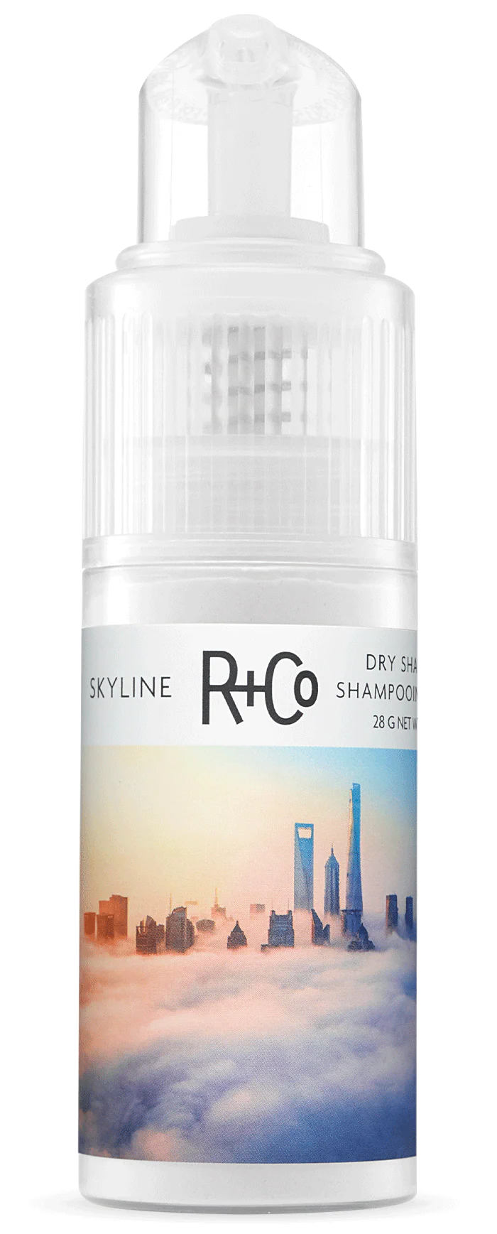 R+Co Skyline